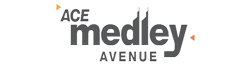 Ace Medley Avenue Noida price list